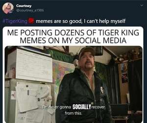 Tiger King Memes The Funniest Online Reactions To Netflix S Wildest Show Popbuzz