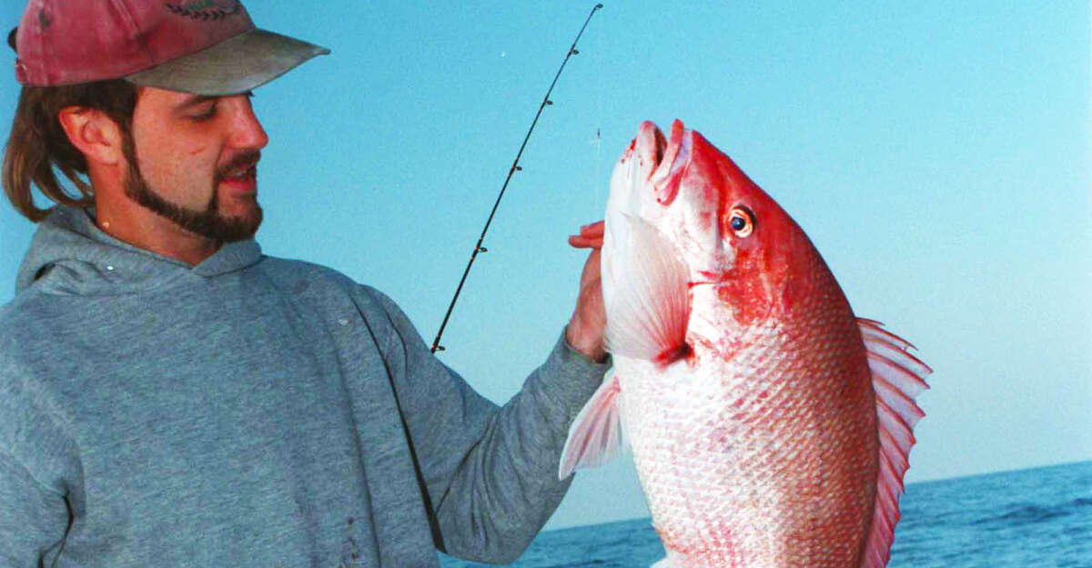 red snapper season texas