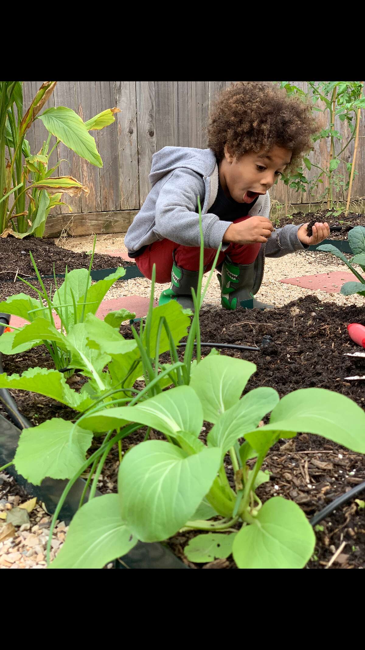 List of vegetables visual data 3