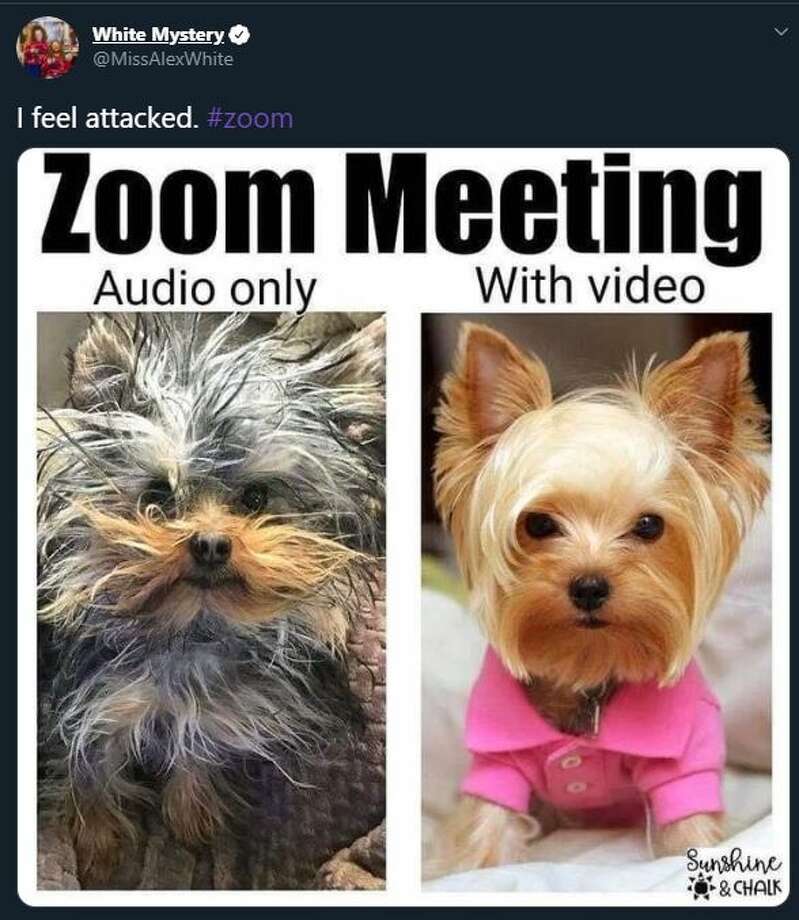 Living A Zoom Life Here Are Some Relatable Memes That Ll Make You