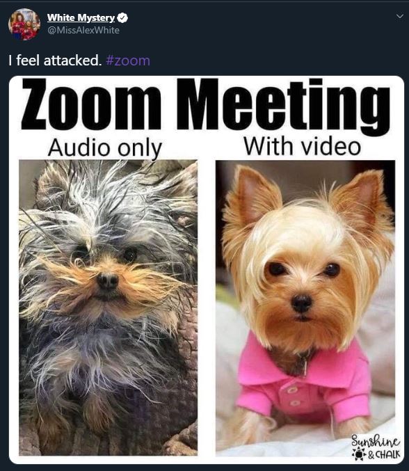 Working From Home You Ll Relate To These Zoom Fails And Memes