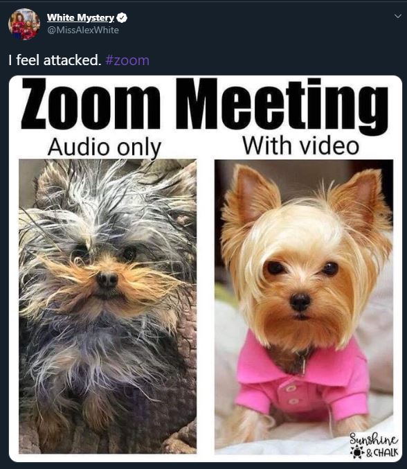 Zoom fails, memes that perfectly sum up working from home