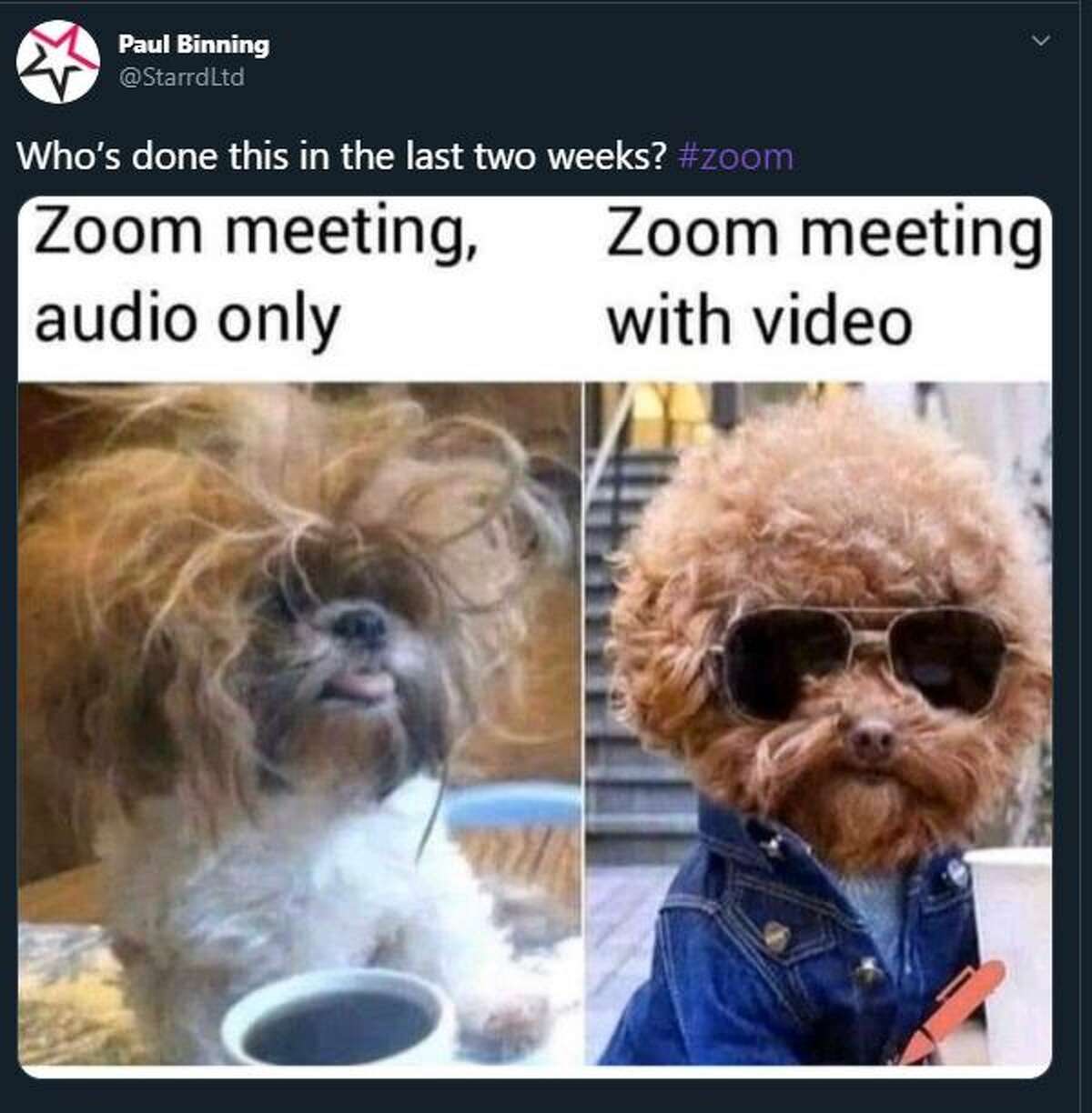 Working from home? You'll relate to these Zoom fails and memes