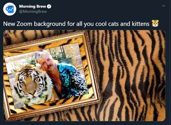 Working From Home You Ll Relate To These Zoom Fails And Memes