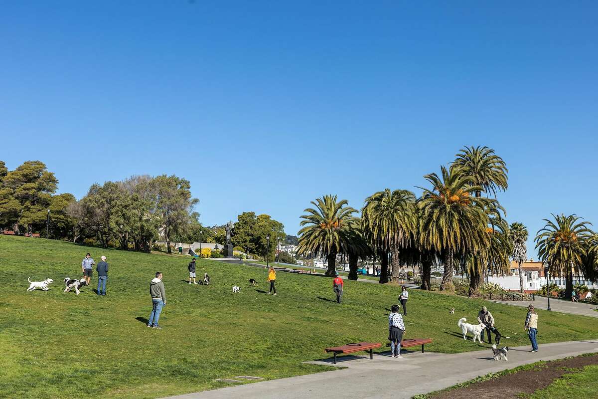 People practice social distancing while playing with their dogs at Dolores Park on Wednesday, April 1, 2020, in San Francisco, Calif. �Dog parks throughout the city are closed to prevent the spread of the coronavirus and the park is one of the few places for people to stroll their dogs.