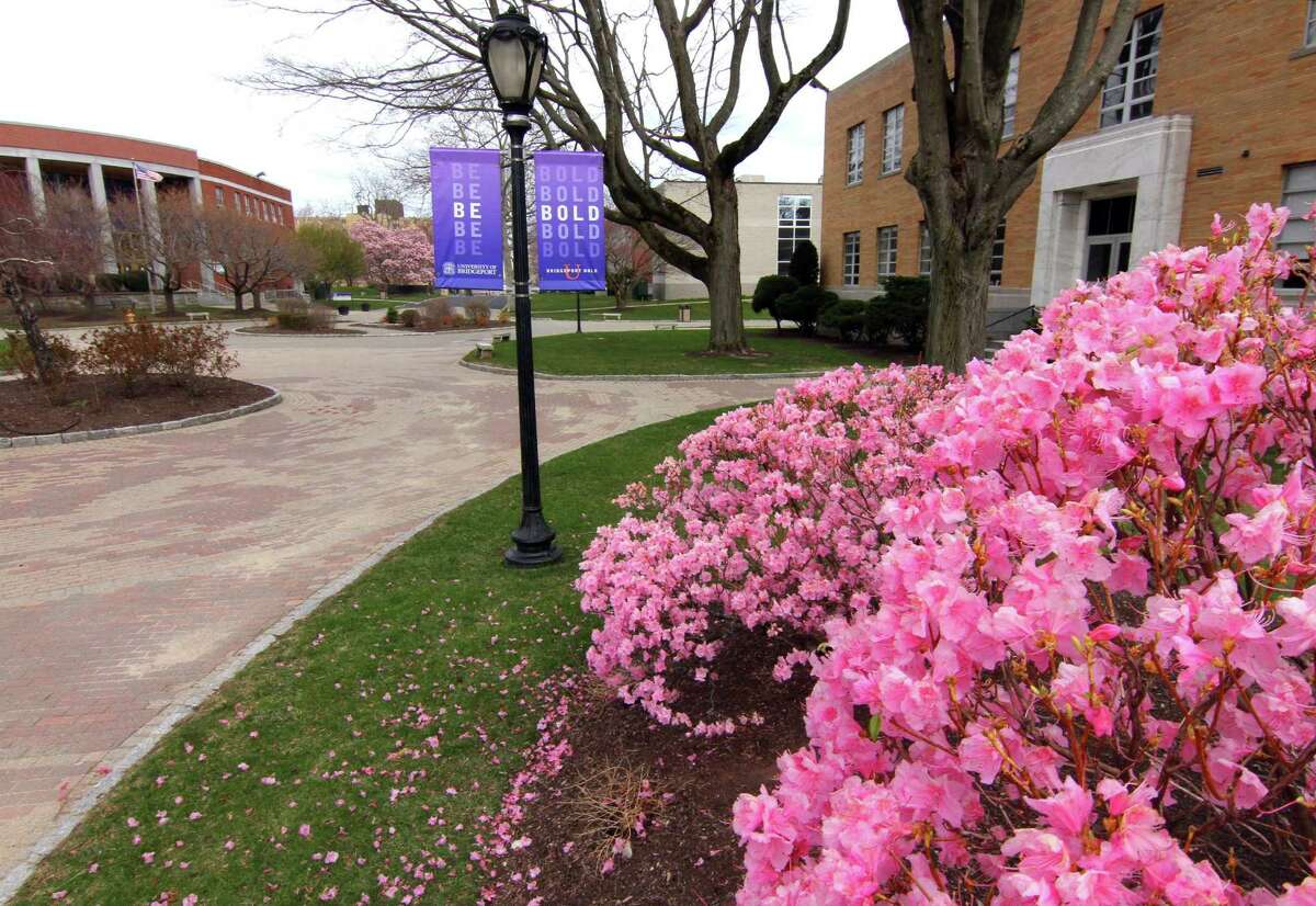 University of Bridgeport campus in Bridgeport in early March.