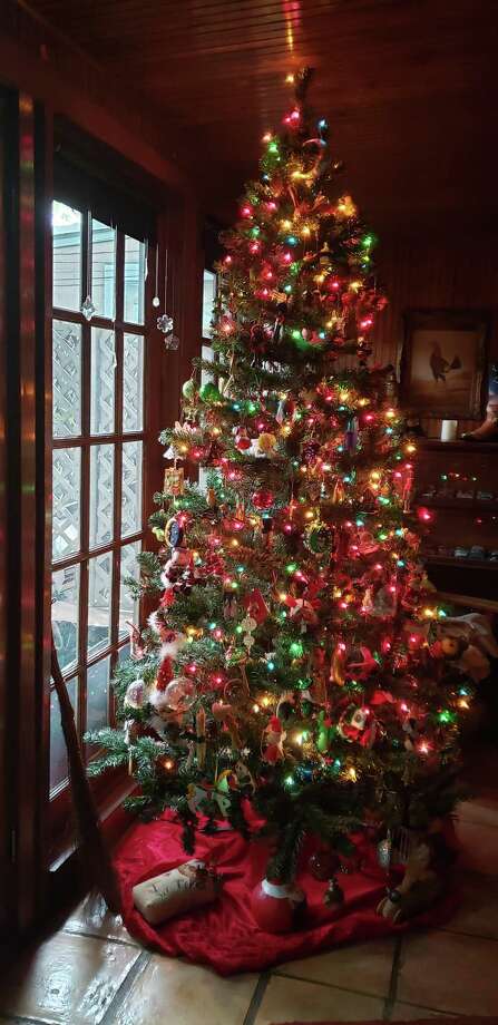 Christmas Tree Season Underway - NewsTimes