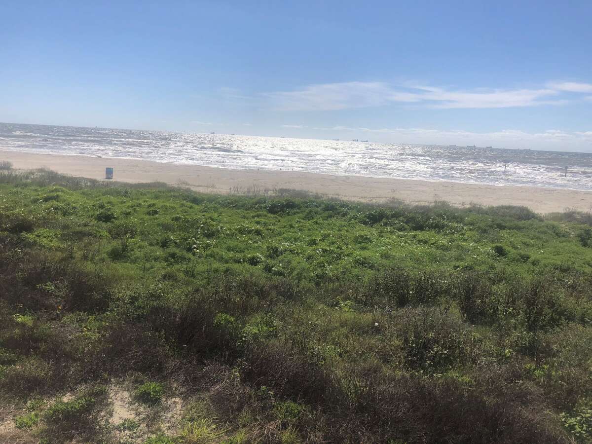 Galveston County reopens some local beaches to the public