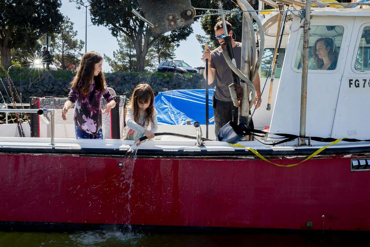 Hazel Jaeger (left), 9, and Rhye Jaeger, 6, wash their hands after helping their dad Adam Sewall and mom Eleza Jaeger measure fresh halibut on board the family's fishing boat in the Berkeley Marina in Berkeley, Calif. Wednesday, April 1, 2020. Adam Sewall and Eleza Jaeger help their daughters Rhye Jaeger (center), 6, and Hazel Jaeger, 9, measure a freshly caught halibut fish on the family's fishing boat in the Berkeley Marina in Berkeley, Calif. Wednesday, April 1, 2020. Before the shelter-in-place orders, the family operated a fishing charter boat, but that business has come to a halt. They've developed a big social media presence around "Fish School," their homeschooling from the boat, and are now catching fish while other commercial fishing boats have stopped.