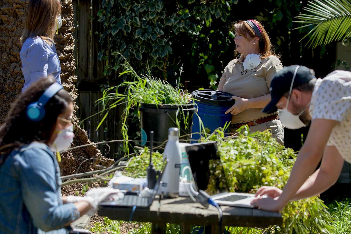 Marketing team members Isabella Linares (left) and Daniel Flynn (right) work on technicals as zoological manager Ann Marie Bisagno (center) chats with host Michelle Myers ahead of a subscription-based live stream broadcast held in the giraffe enclosure at Oakland Zoo in Oakland, Calif. Thursday, April 2, 2020. Since the Bay Area's shelter-in-place order, Oakland Zoo has been closed to the public, but has started scheduling live video behind-the-scenes visits with various zoo animals.
