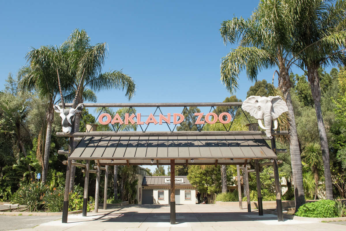 'Last thing to go will be care for animals' Oakland Zoo has used 1.5M of 4.5M reserve