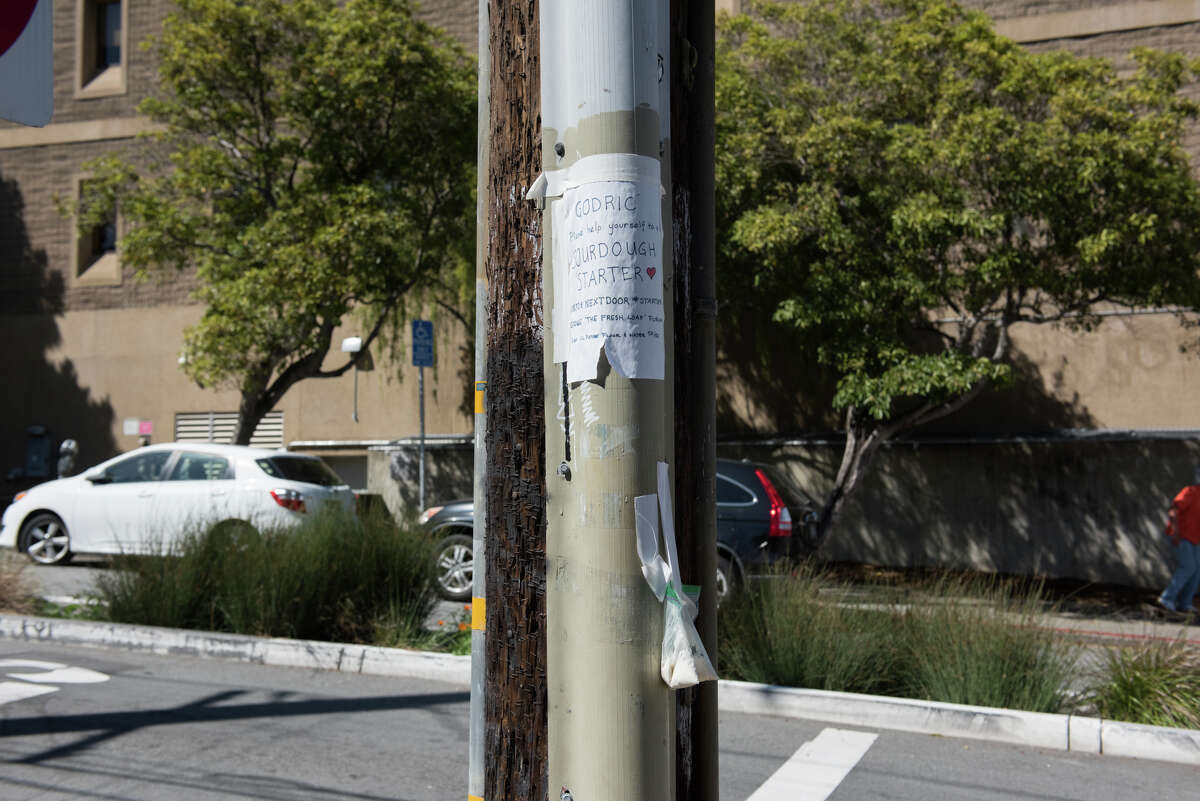 San Francisco residents have found a clever solution around spending the time making their own starter: sharing sourdough starters via common areas around the city. Sourdough starters have been popping up on telephone poles and trees.