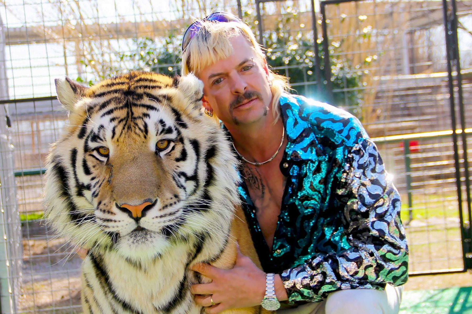Joe Exotic's Legal Team Heads to DC for Last-Ditch Pardon Bid - Vimarsana News