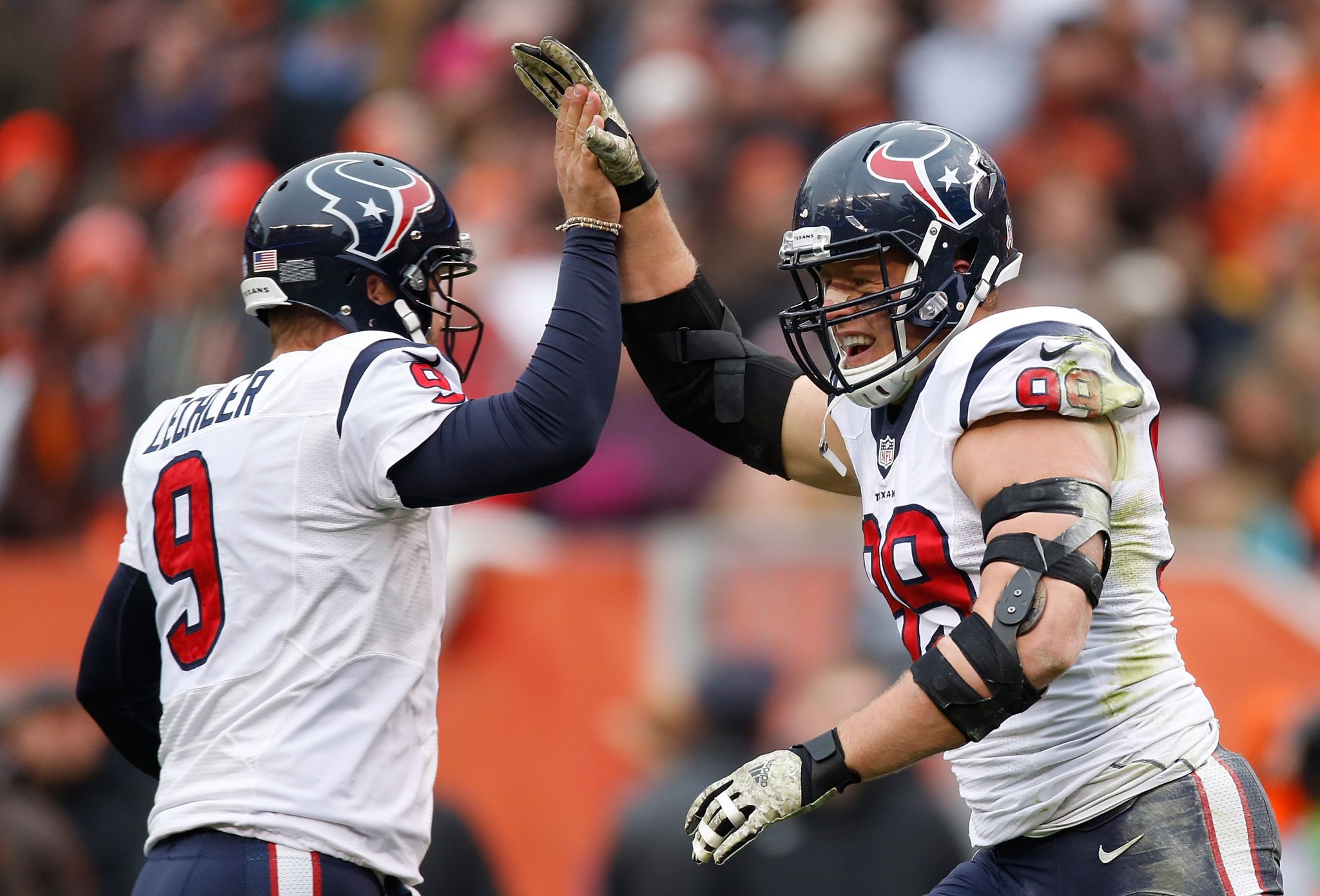 Texans P Shane Lechler hospitalized with the flu 