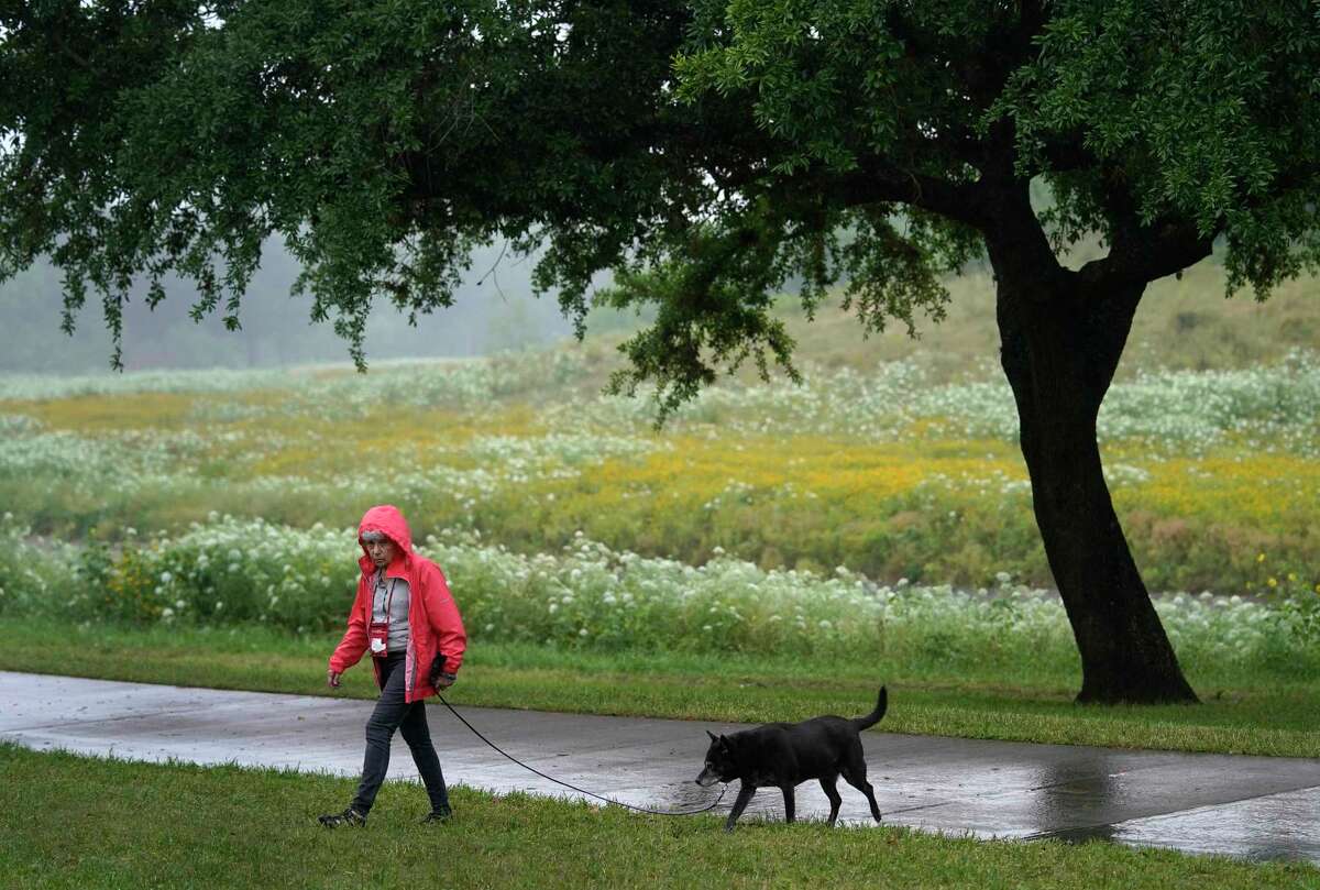 A woman walks a dog in the rain along White Oak Bayou Monday, April 6, 2020, in Houston. Harris County is under a stay-at-home order through April 30 amid the coronavirus pandemic. Outdoor activites such as dog walking is allowed under the order as long social distancing, staying 6 feet away from others, is practiced.