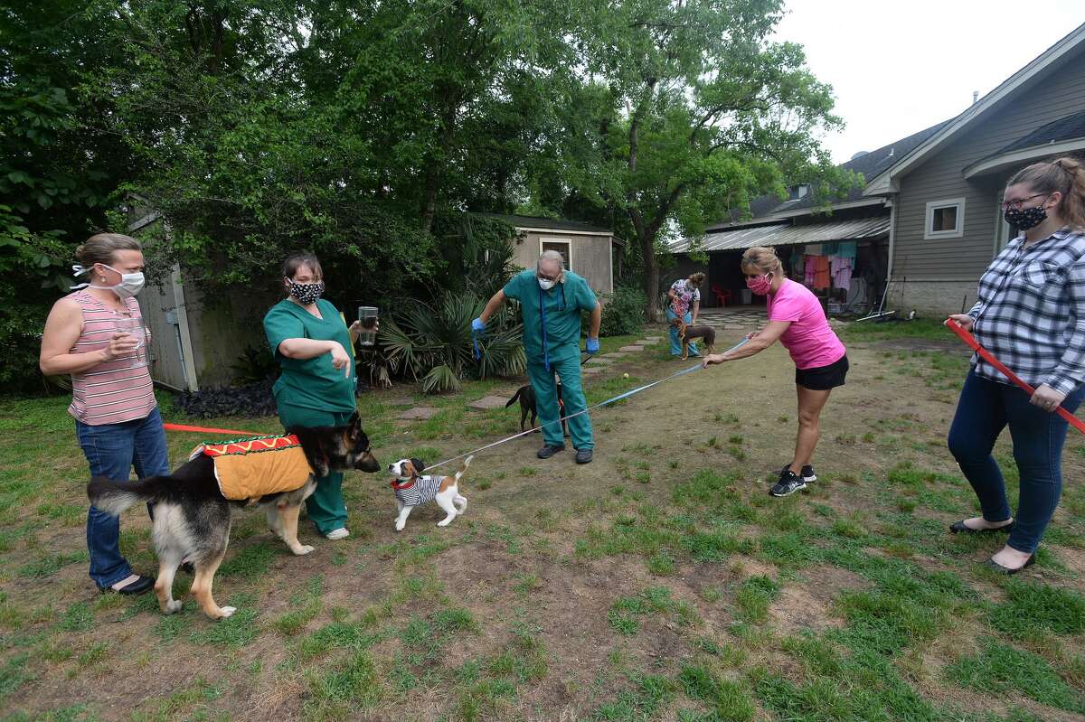 Photos Yappy Hour helps save dogs amid COVID19