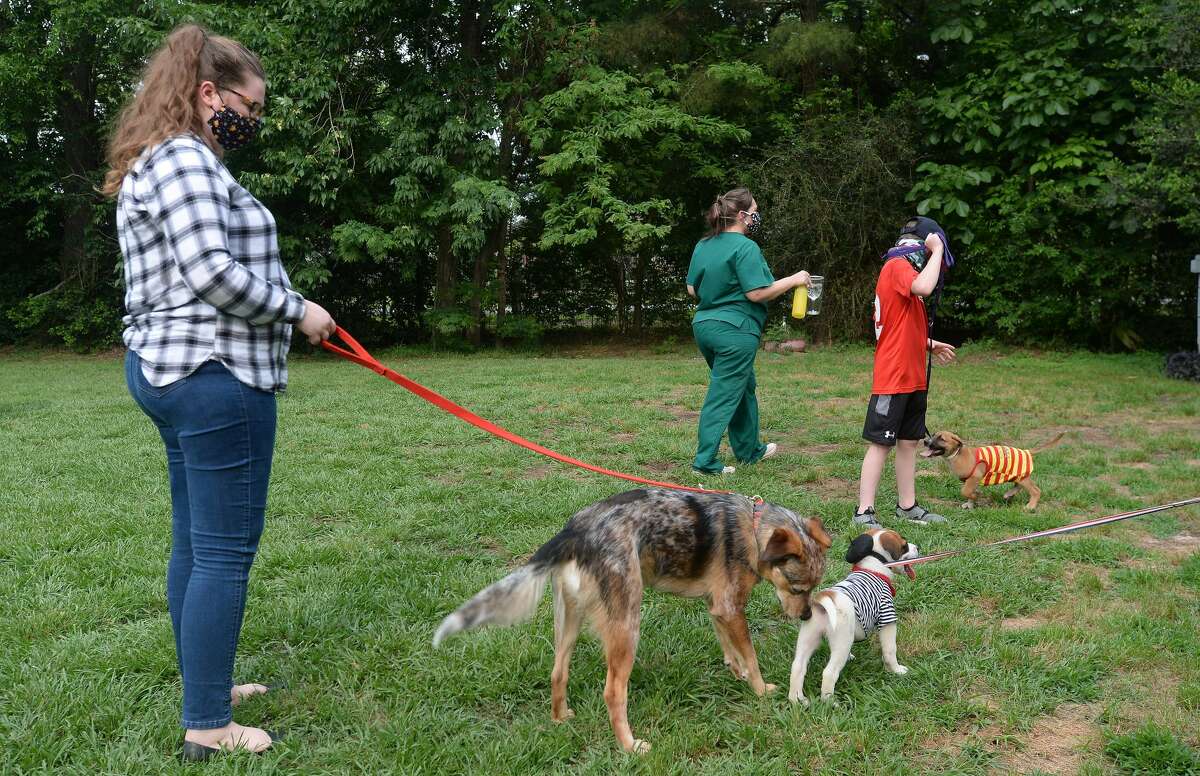 Photos Yappy Hour helps save dogs amid COVID19