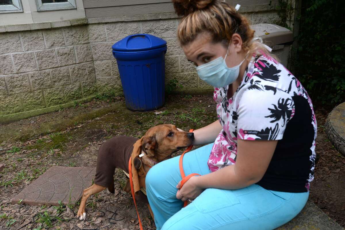Photos Yappy Hour helps save dogs amid COVID19