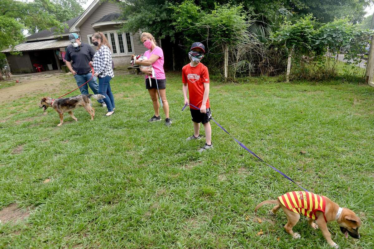 Photos Yappy Hour helps save dogs amid COVID19