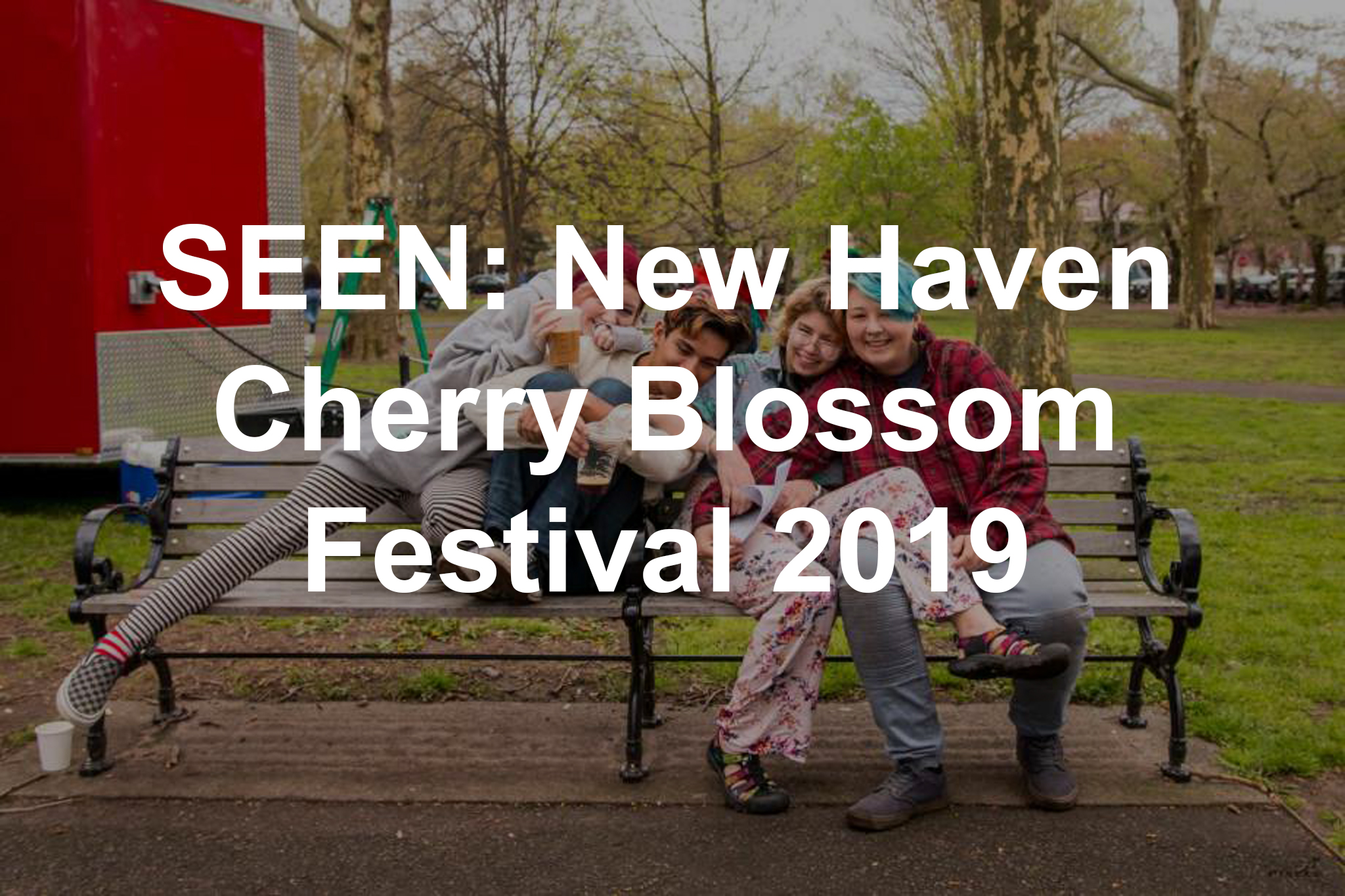 SEEN New Haven Cherry Blossom Festival 2019