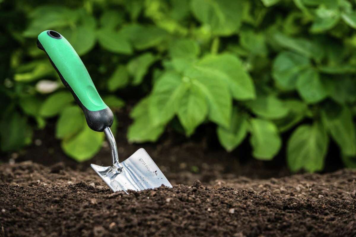 Ridgefield Continuing Education is offering a new online course, Organic Gardening 101.