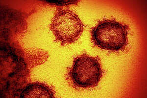 Virus closes 2 PAISD campuses for 5 days