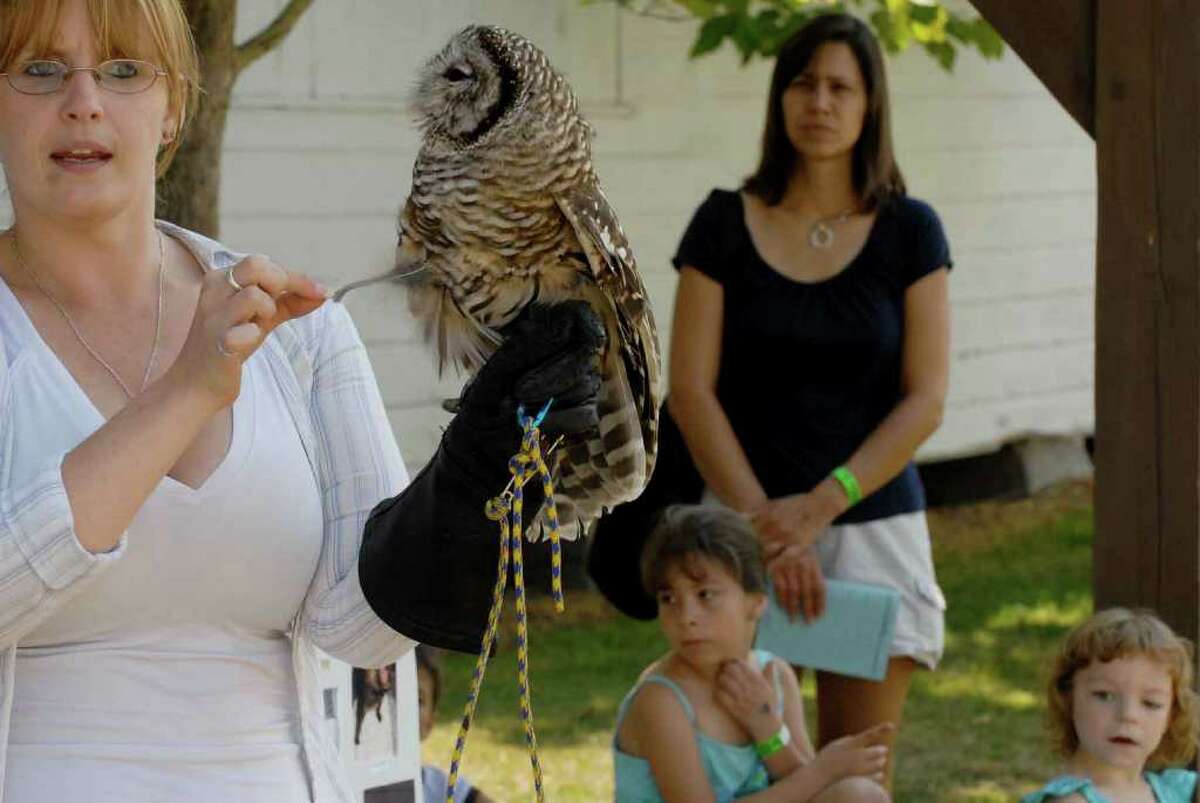 Wildlife rehabilitator Sarah McDaniel shows off a barred owl during the Altamont Fair. ( Michael P. Farrell / Times Union