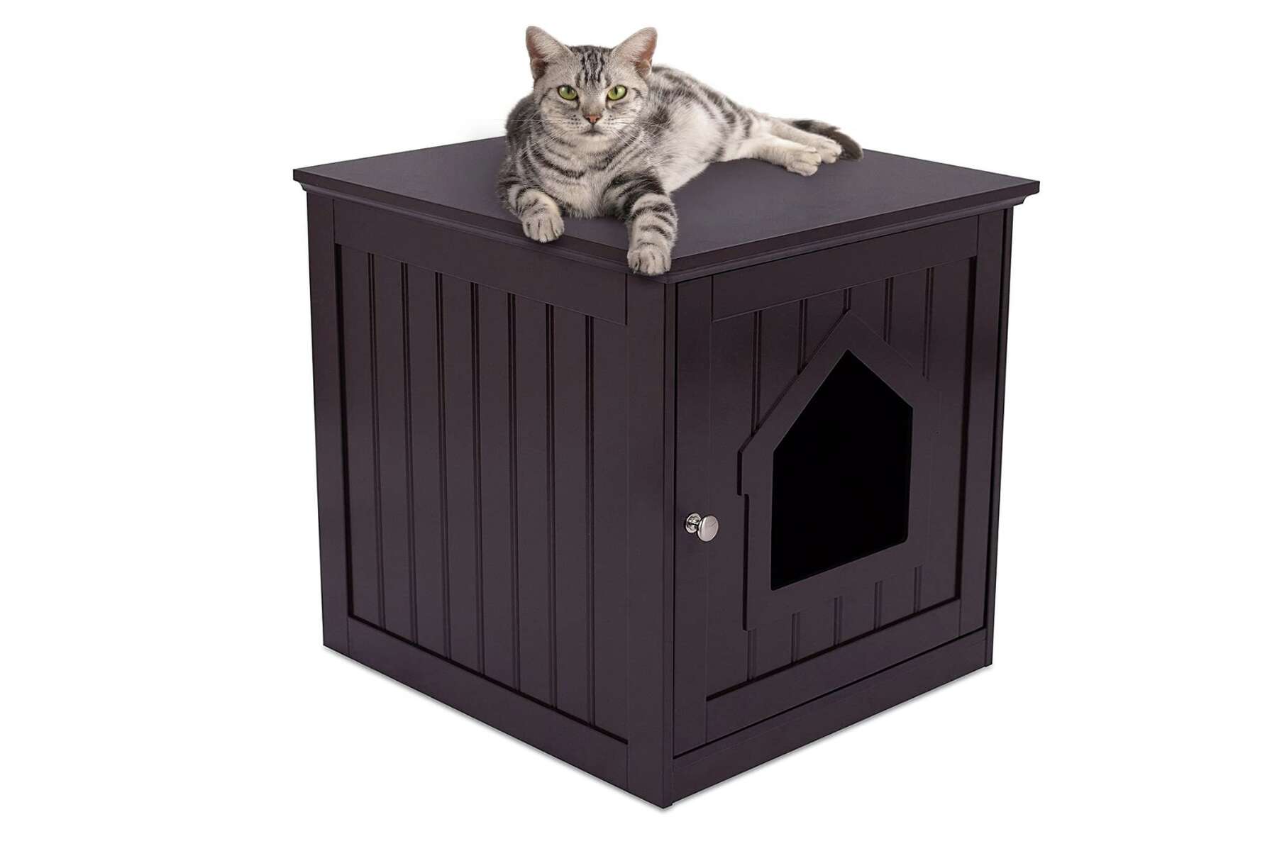 fancy litter box