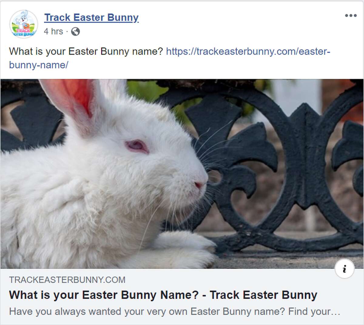 Play fun Easter games Play fun Easter games like finding out what your Easter Bunny name is through the Track Bunny website.