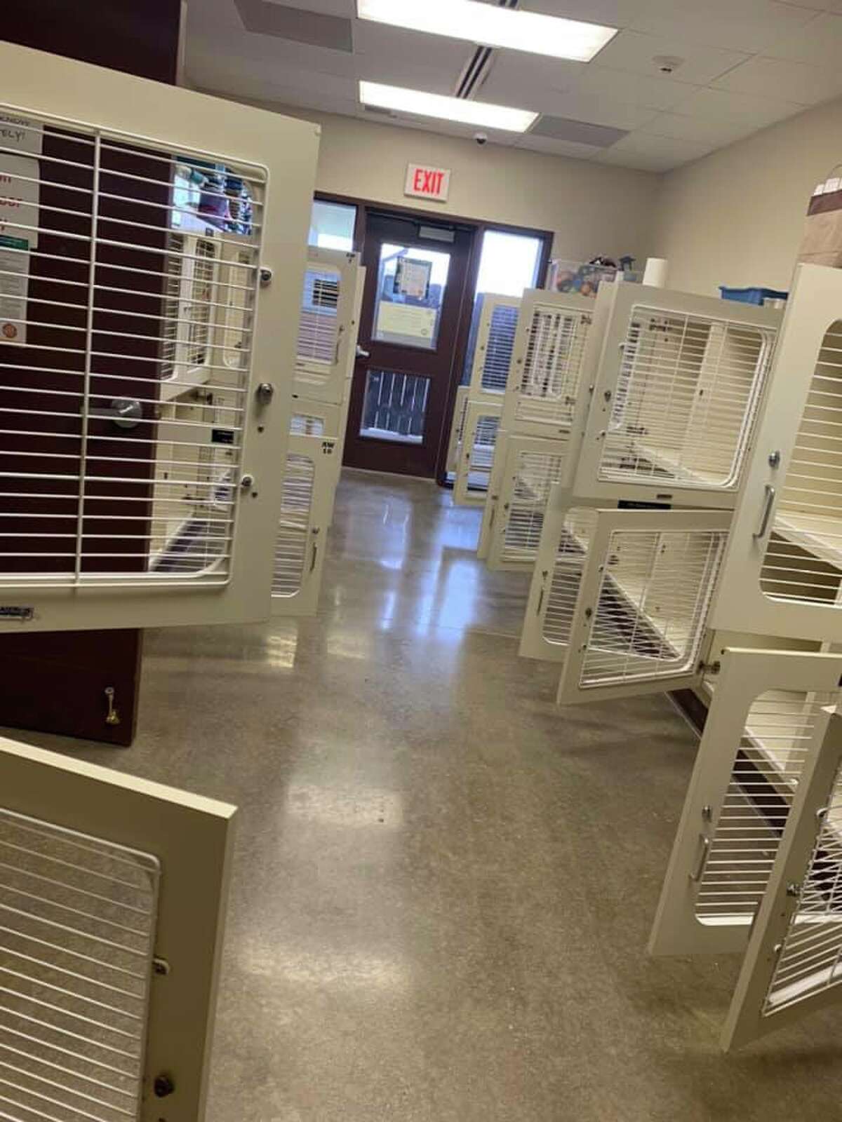 Quarantined residents help empty out La Porte Animal Shelter