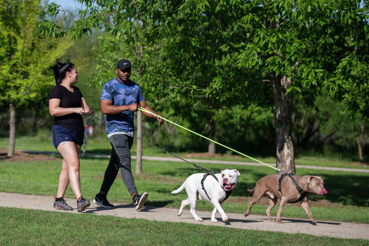 People walk their dogs at McAllister Park. 