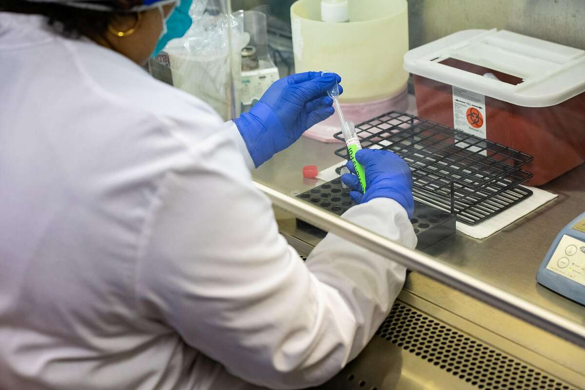 Medical researchers test blood samples in Stanford University’s Clinical Virology Lab in March 2020.