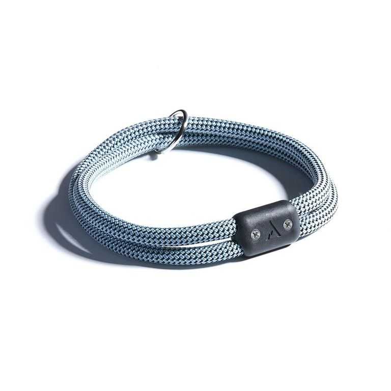 The 9 Best Dog Collars for 2020