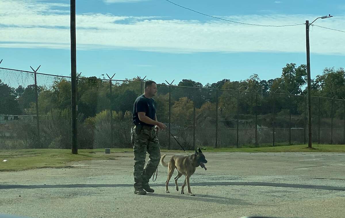 From MLB catcher to the K-9 unit, Rob Bowen going full speed into