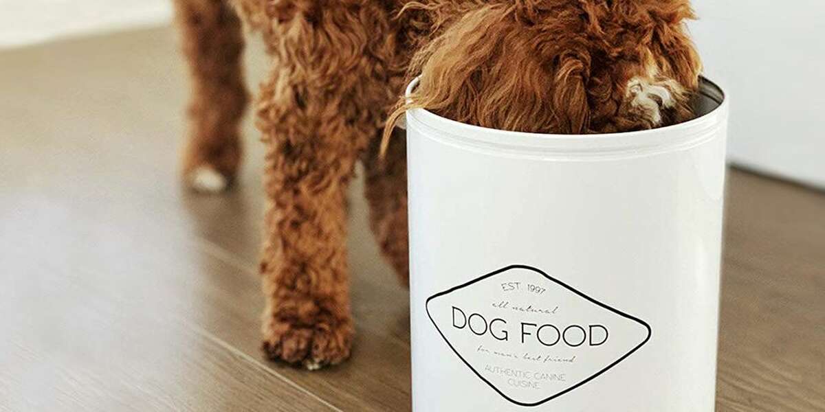 best airtight dog food container