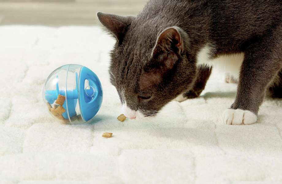 catit ball