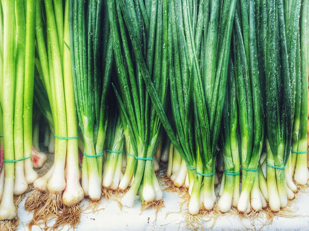 Regrow green onions Store green onions in a jar of water to keep them fresh longer. Also, super easily regrow your green onions by slicing off the ends, leaving roots attached and placing them in a small jar with water just covering the roots.