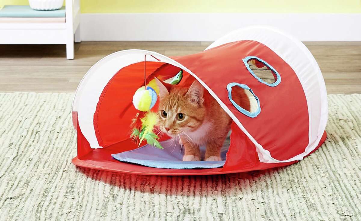 hartz peek and play pop up tent