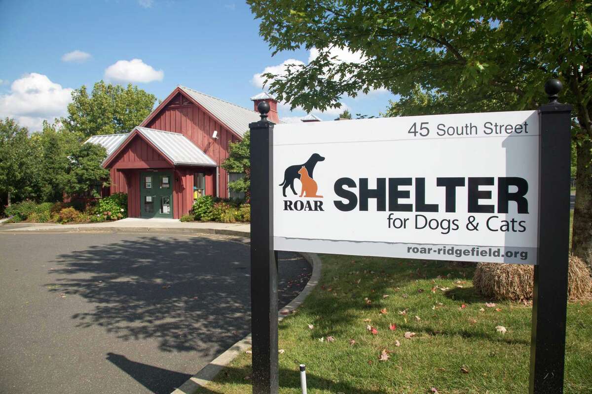 Pet adoptions are on hold at ROAR. The shelter is hoping to resume the adoption process for dogs and cats in the next few weeks.