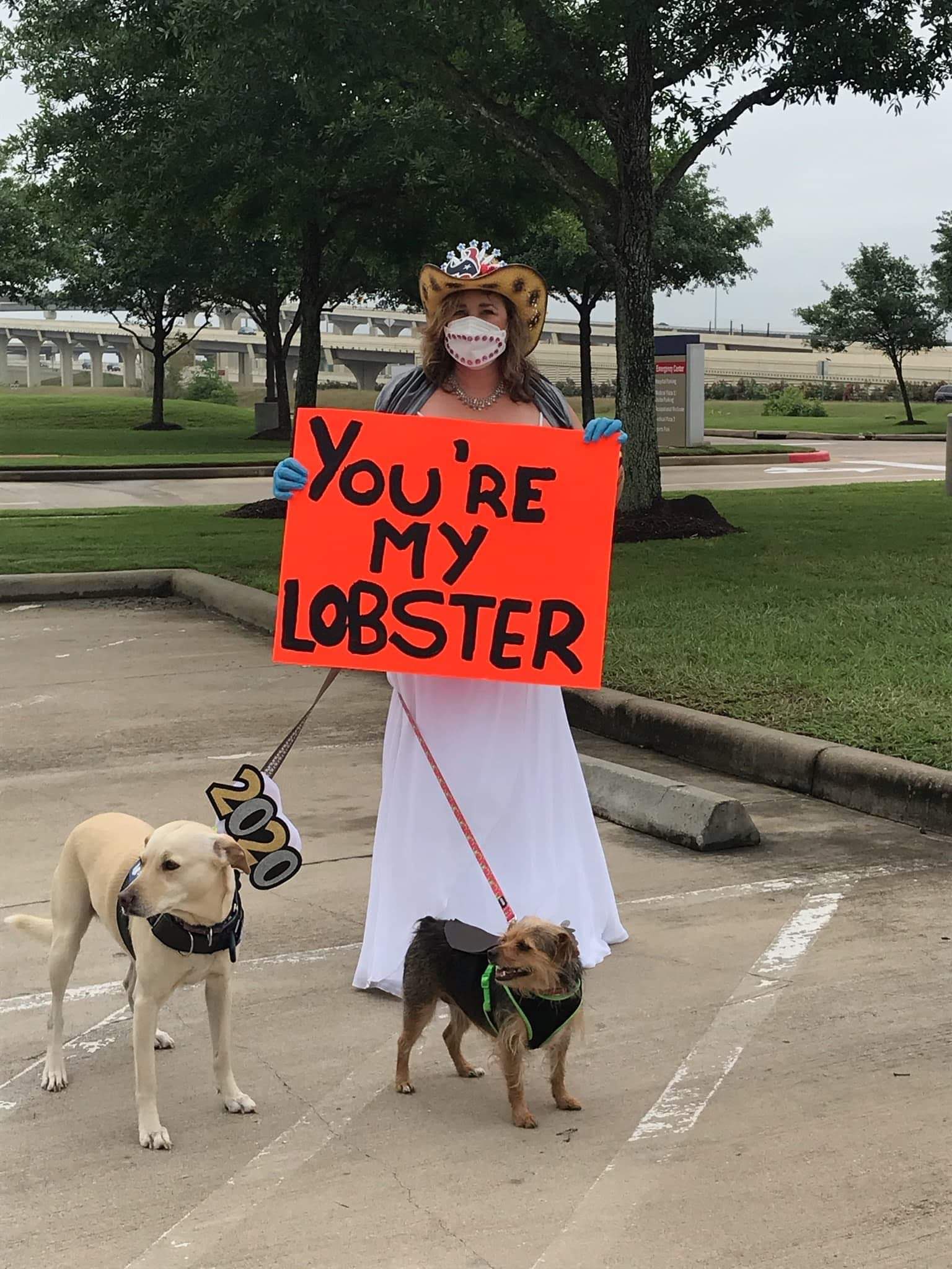 Reductress » How This Dog Wearing a Propeller Hat Saved Our Marriage