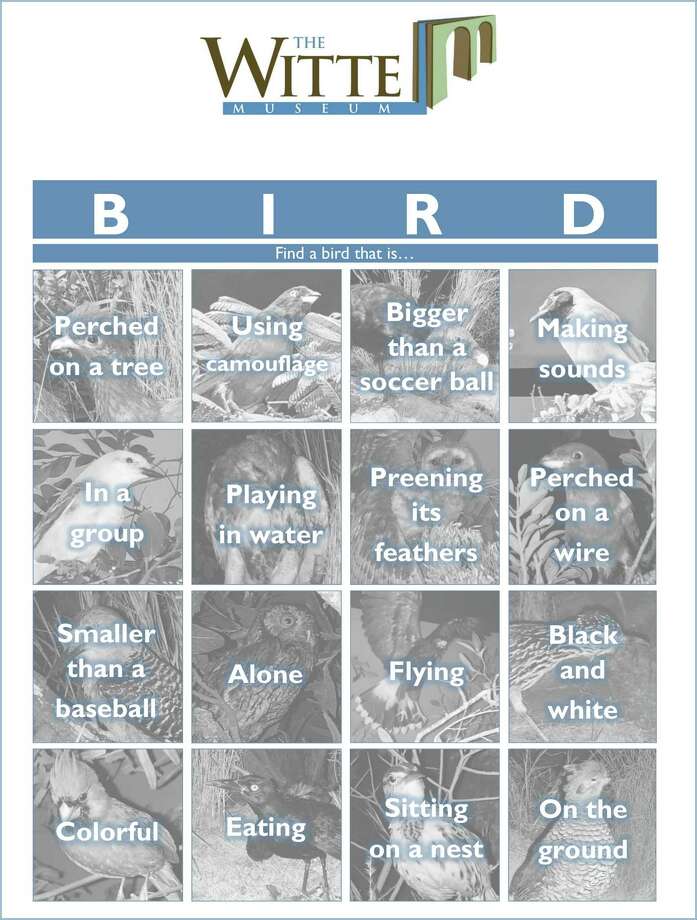 carte bingo