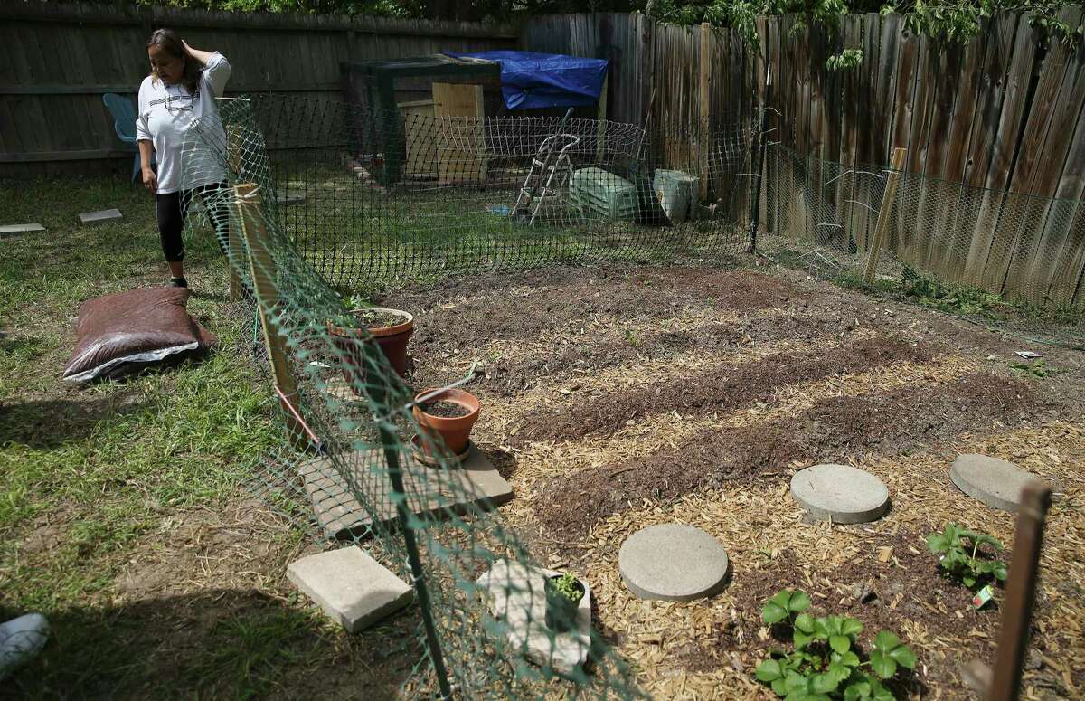 San Antonio homeowners like Maribel Junier have found ways to occupy themselves as the self-quarantine continues. Junier and her husband created a space for a small vegetable garden in their backyard. Some homeowners are turning to outdoor projects they may have wanted to do for a while but were unable to get to until now.