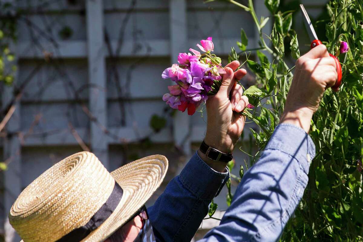 Texas Rangers Floral Straw Hat