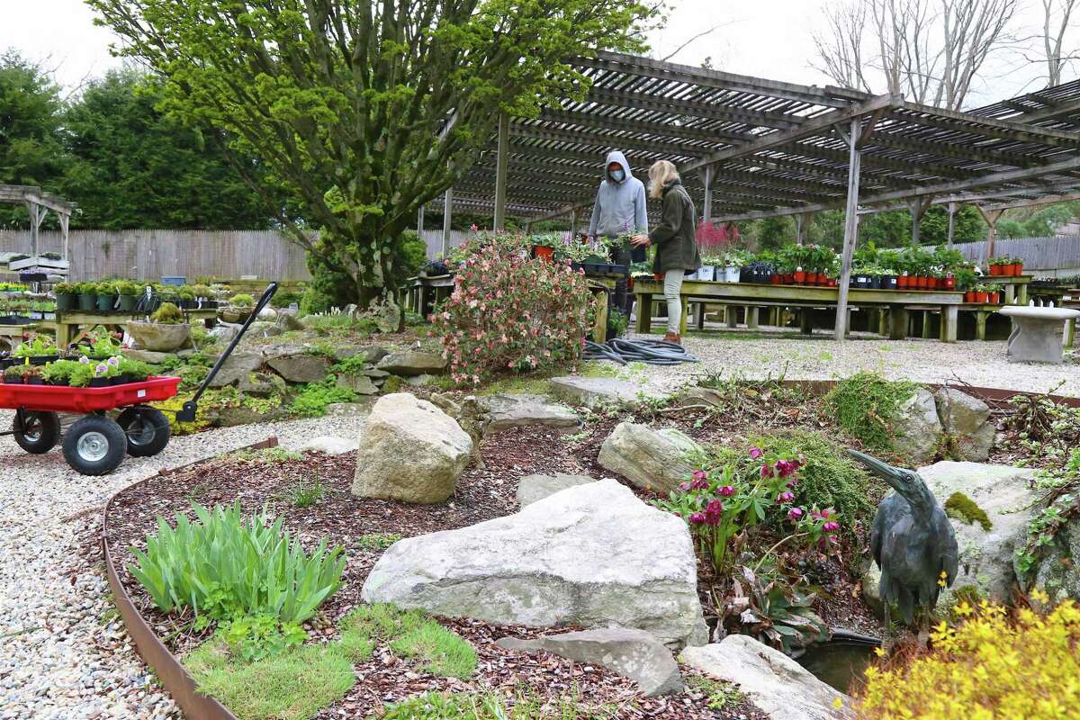 Fairfielders thankful for spring blossoms