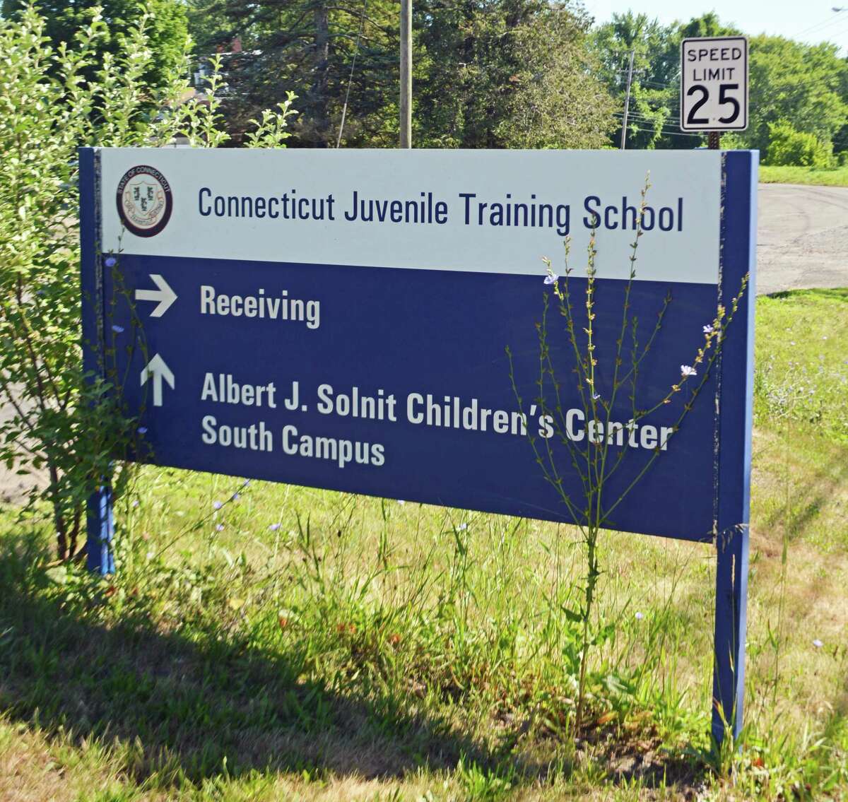 The Connecticut Department of Children and Families runs the Albert J. Solnit Center for Children in Middletown.