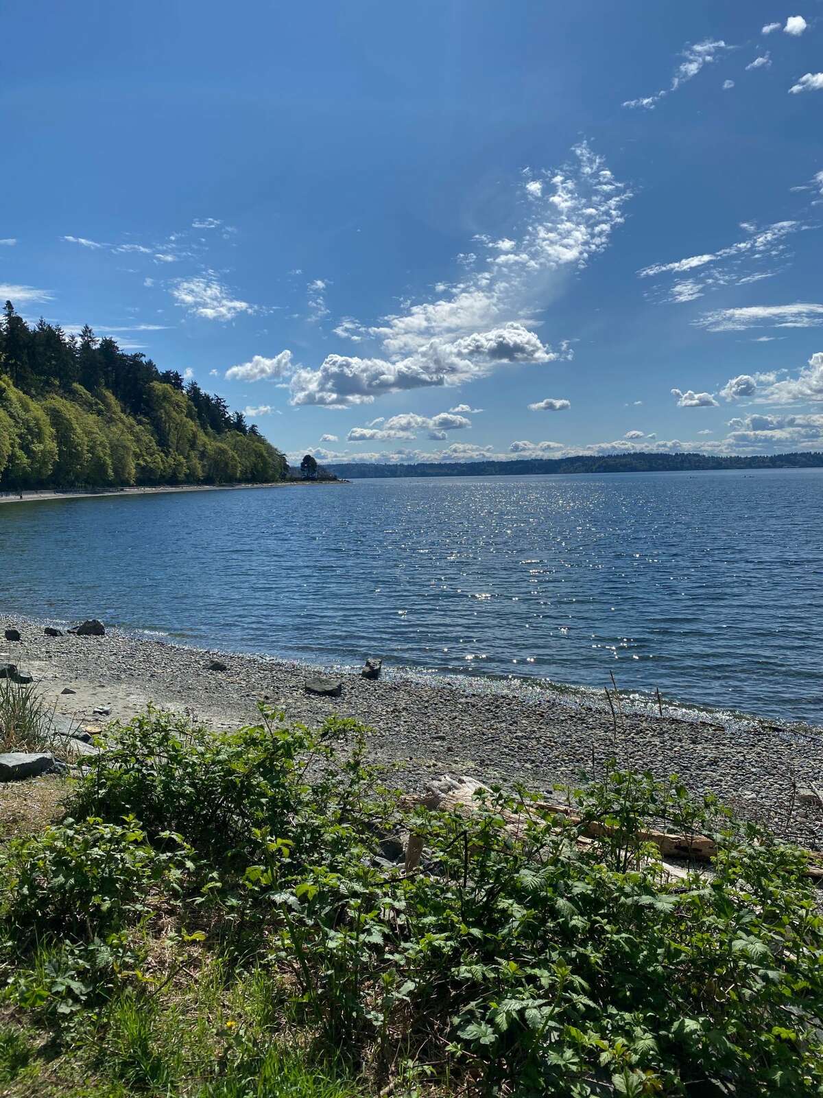 A sunny day at Lincoln Park in West Seattle, Wash. on April 19, 2020.