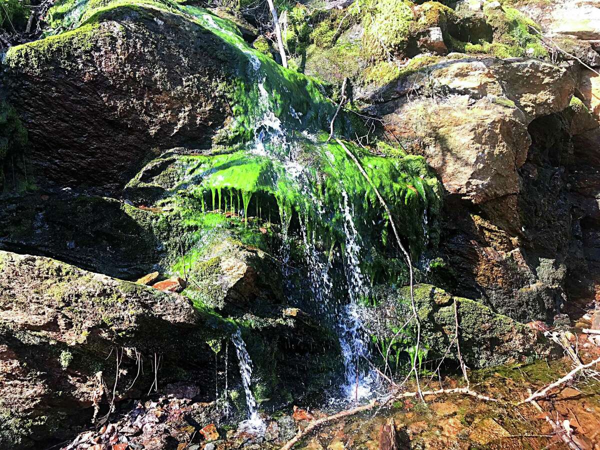 Cool water trickles down the moss and rock face along the Airline Trail in East Hampton.