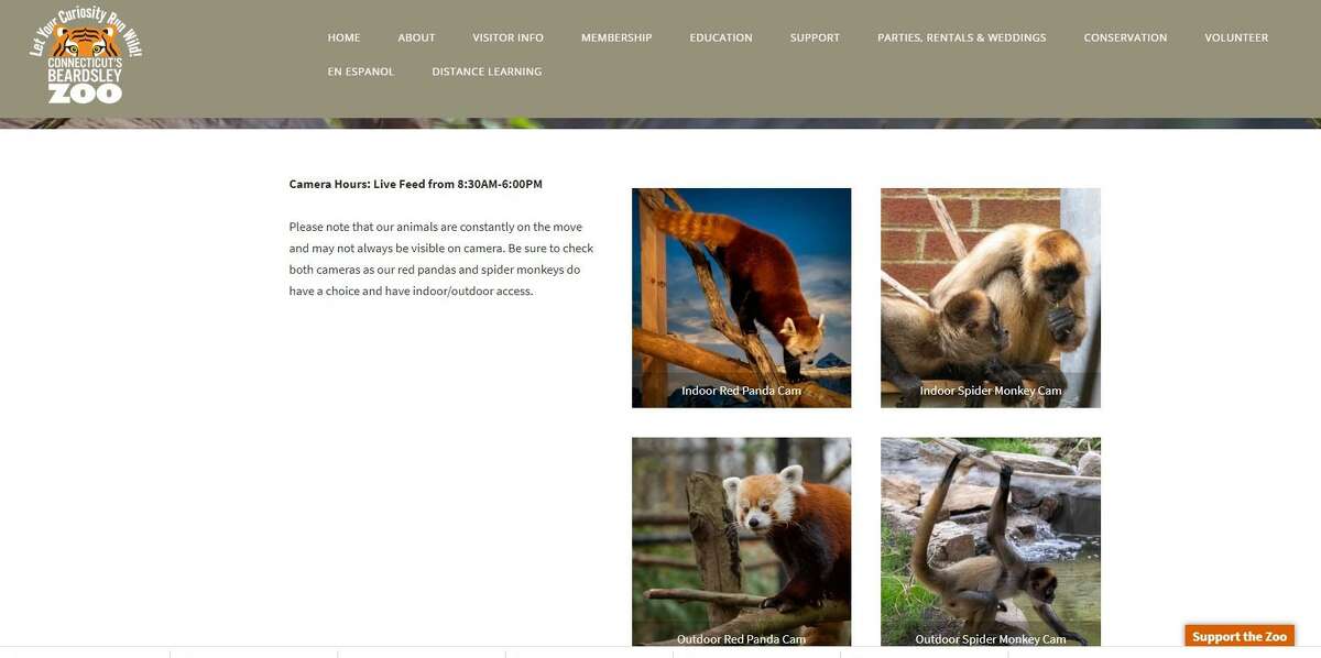 The launch page for Beardsley Zoo’s live cams.