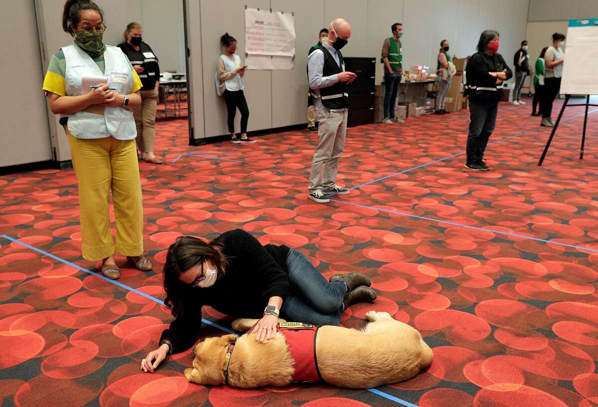 Mary Ellen Carroll, Executive Director of Department of Emergency Management, sits with Redman, a labrador brought in to provide emotional support at George R. Moscone Convention Center South where the Emergency Operations Center for the city has replaced city hall in San Francisco, Calif., on Tuesday, April 21, 2020. It’s the closest thing that SF has to a City Hall right now, where wide hallways and massive meeting rooms designed for large crowds instead is very loosely filled with hundreds of city workers involved in battling COVID-19's impact on the city.