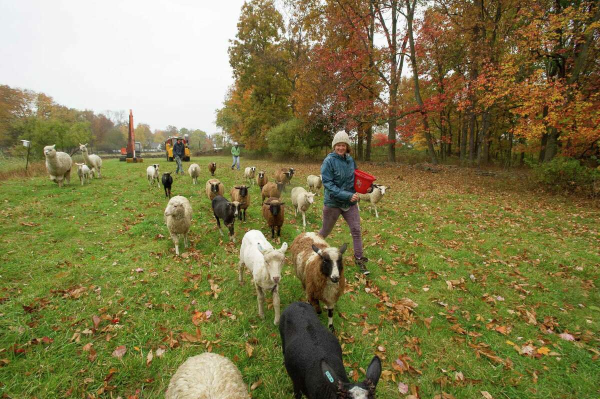 Dina Brewster previously tends to animals at The Hickories, which is a small organic farm she runs in Ridgefield, Connecticut. Brewster writes this piece along with John Kriz, who is a member of the community-based organization Cannon Grange, and a New Canaan resident, to inform homeowners about how they can become land stewards.